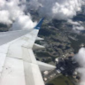 Meet your Posher, Molly